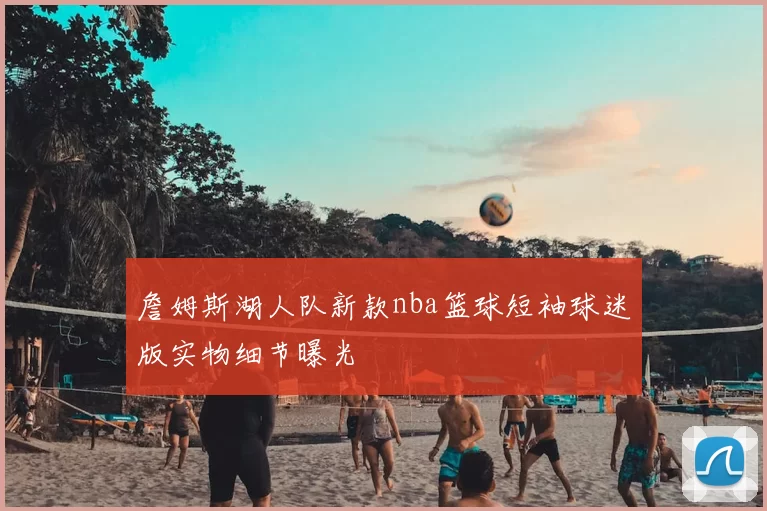 詹姆斯湖人队新款nba篮球短袖球迷版实物细节曝光