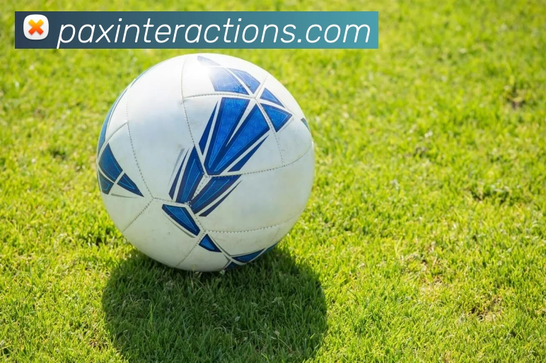 App Interface Preview