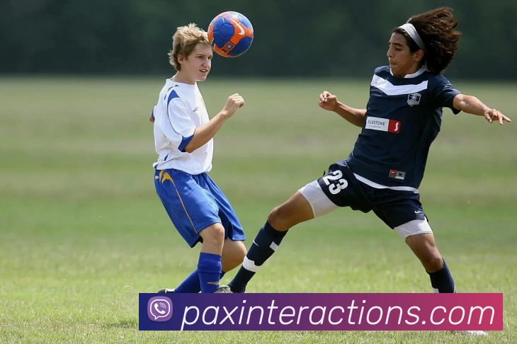 完美体育唯一官网 - 完美(中国)APP 封面图